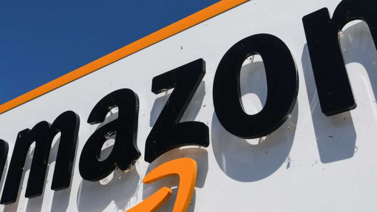 Immagine di Perché Amazon scarica la tassa francese sui piccoli imprenditori