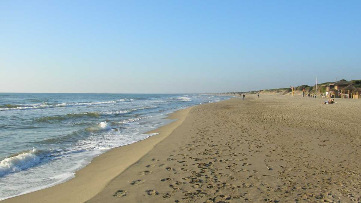 Immagine di Tra le dune bollenti della spiaggia di Capocotta, Cape Cod de noantri