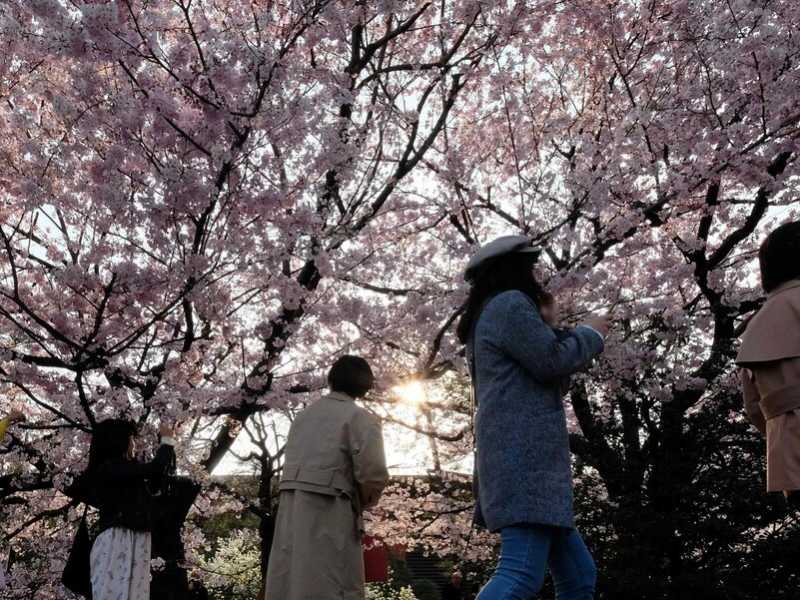 Tokyo (Foto LaPresse)