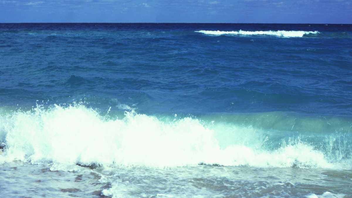 Immagine di Vacanze oceaniche