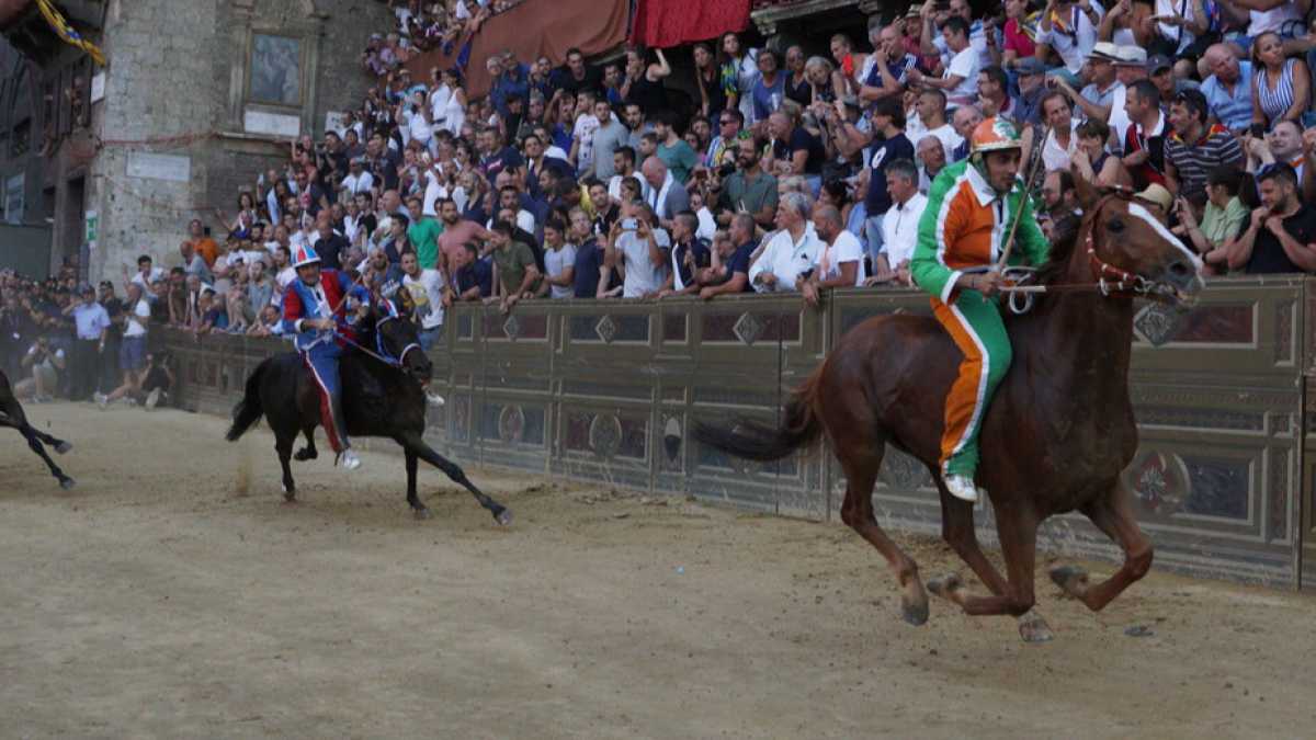 Immagine di Senza appartenenza non si capisce il Palio di Siena