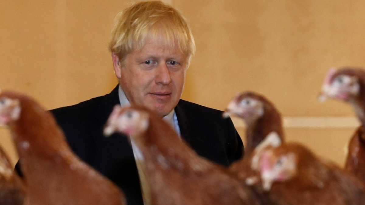 Immagine di Speculatore Boris