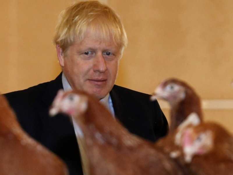 Il primo ministro britannico Boris Johnson visita la fattoria di Shervington a Newport (Foto LaPresse)