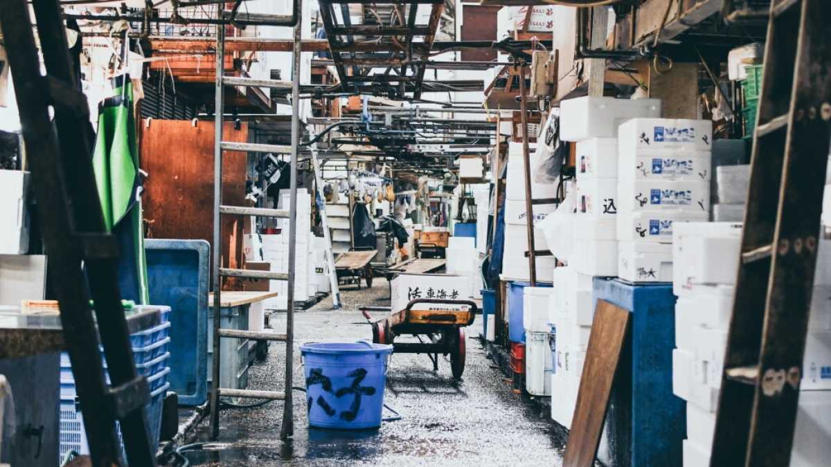 Immagine di Dalla pena all’ansia