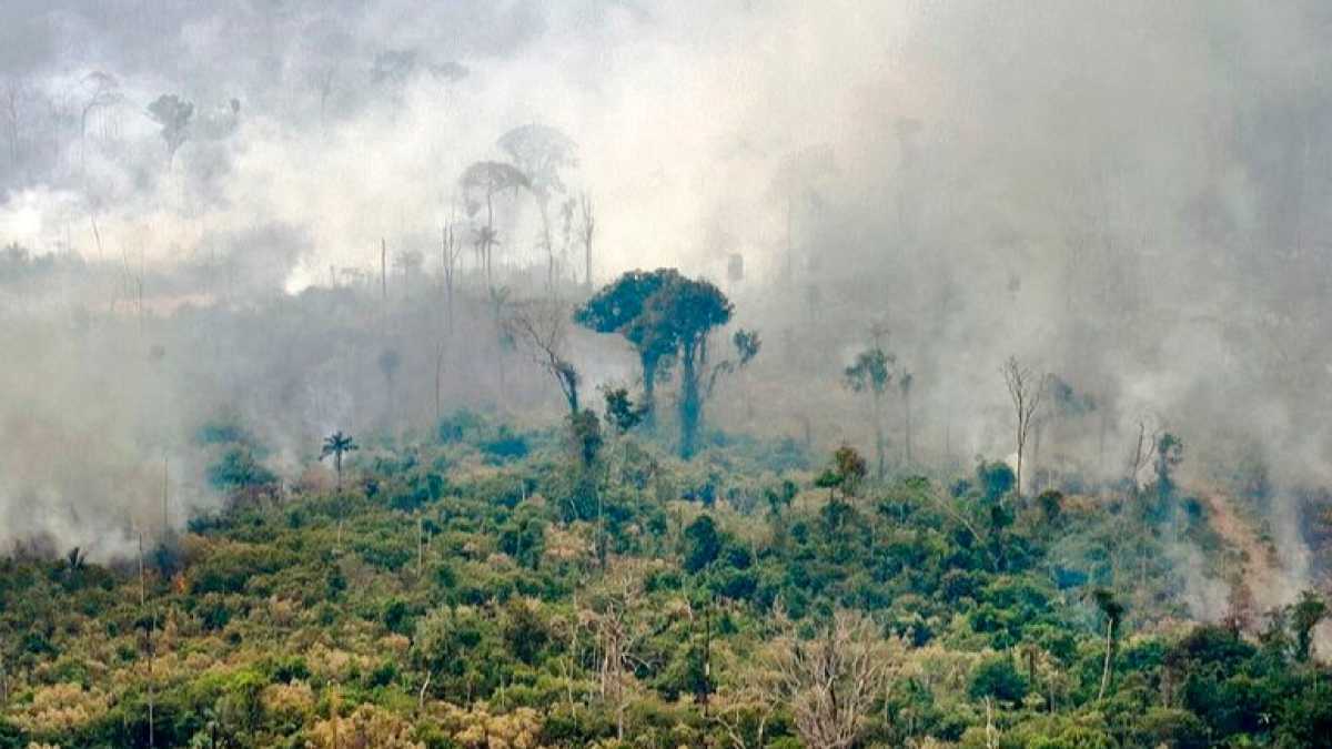 Immagine di I roghi populisti in Amazzonia