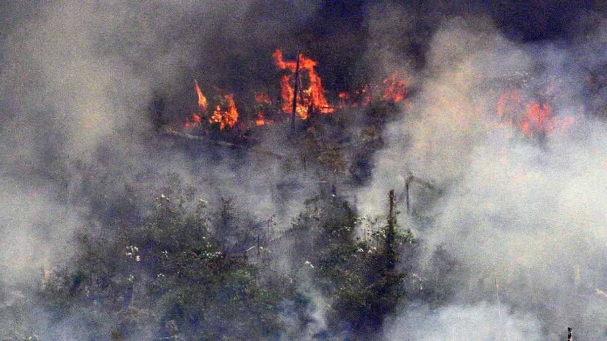 Immagine di L'Amazzonia non è “il polmone della Terra”, non sta bruciando tutta e non è solo colpa di Bolsonaro
