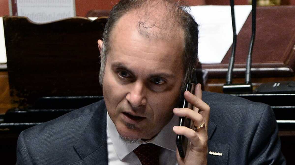 Immagine di Grillini che non mollano