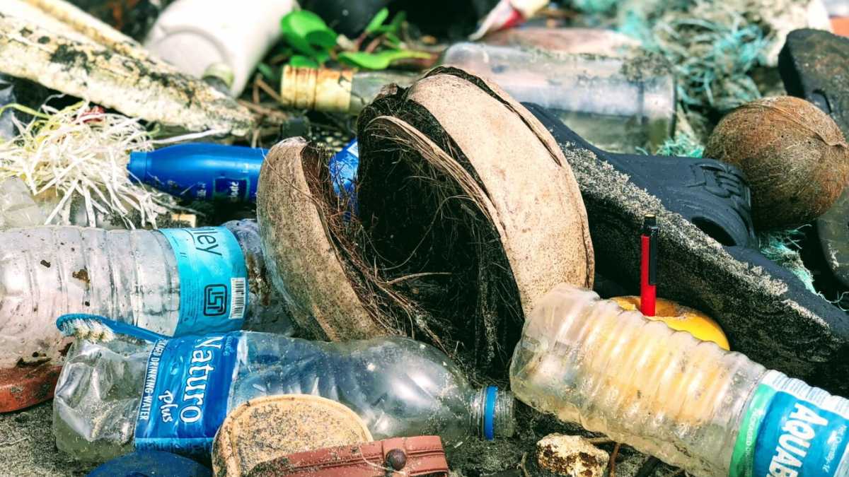 Immagine di Il “plastic free” è un’utopia ingenua, ma c’è un’alternativa più sostenibile