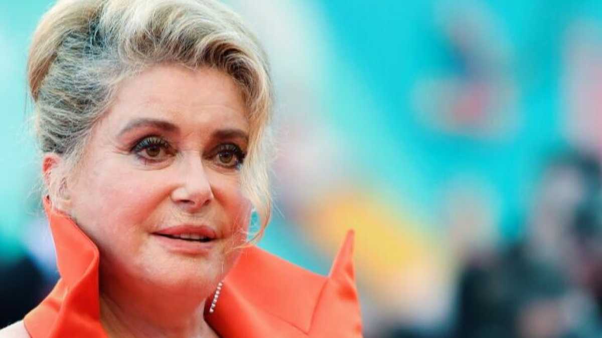 Immagine di Balli, salmone selvaggio e ortensie. A Venezia la crisi politica è un dettaglio