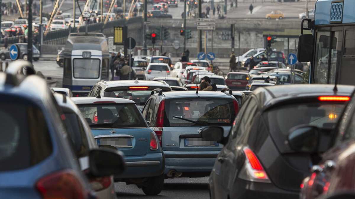 Immagine di Ambientalismo alla Karate Kid