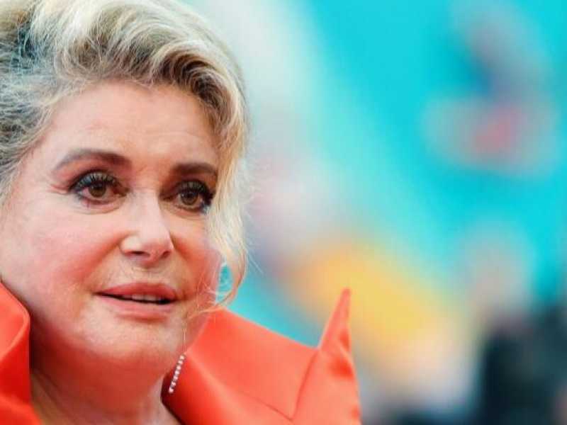 Balli, salmone selvaggio e ortensie. A Venezia la crisi politica è un dettaglio