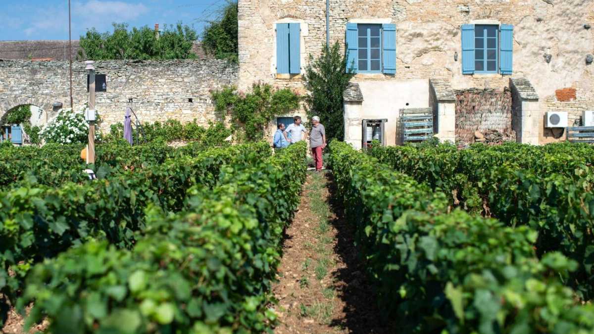 Immagine di Quelli che non mollano. Viaggio nel coraggio delle imprese lombarde