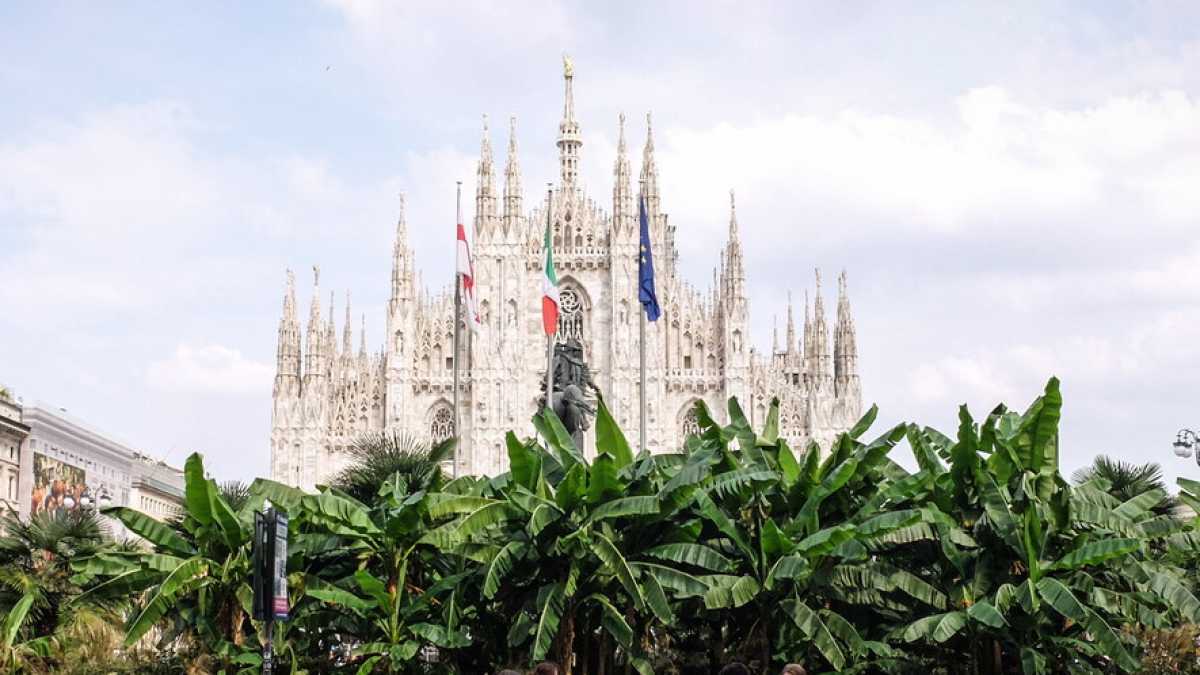 Immagine di Tre milioni di alberi