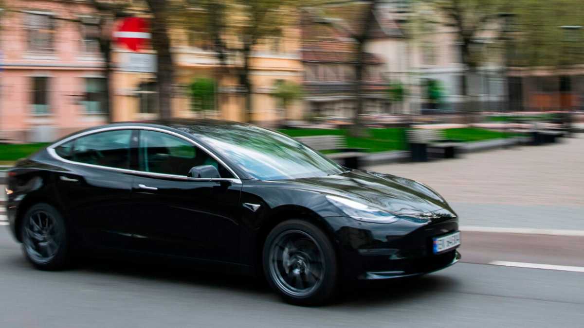 Immagine di Inizia l'ecolotta