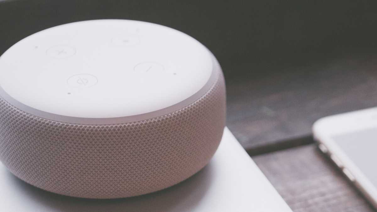 Immagine di L'estate di Alexa