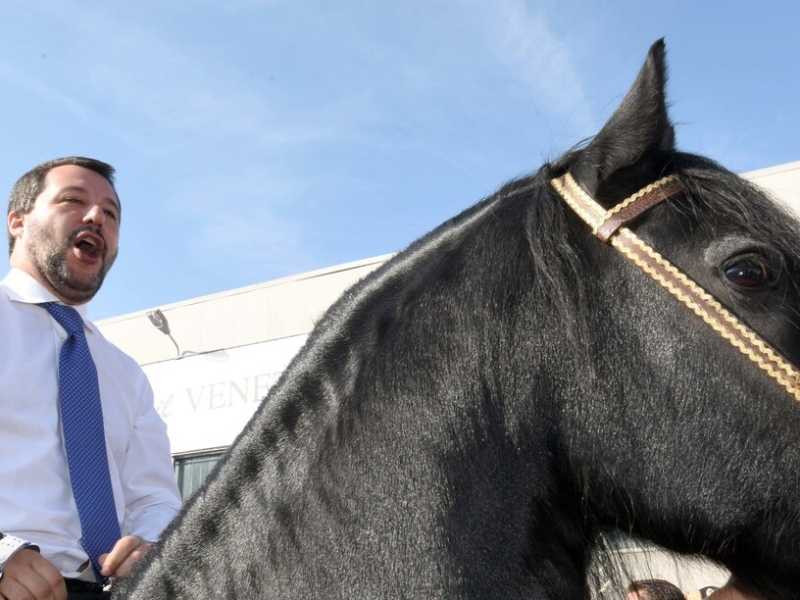 Matteo Salvini (foto LaPresse)