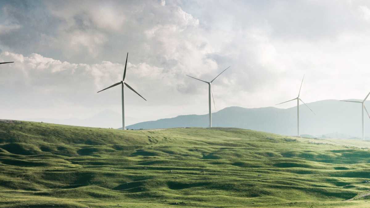 Immagine di Cosa fare per evitare che il “New green deal” sia solo uno slogan vuoto