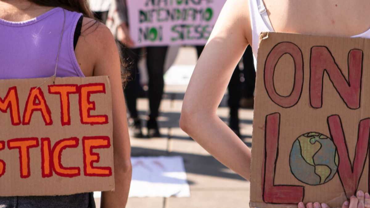 Immagine di Il delirio ambientalista di Safran Foer e Franzen