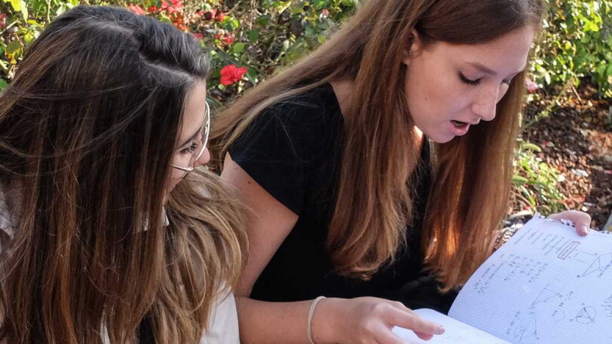 Immagine di Controesame ai giovani “ignoranti” e digitali