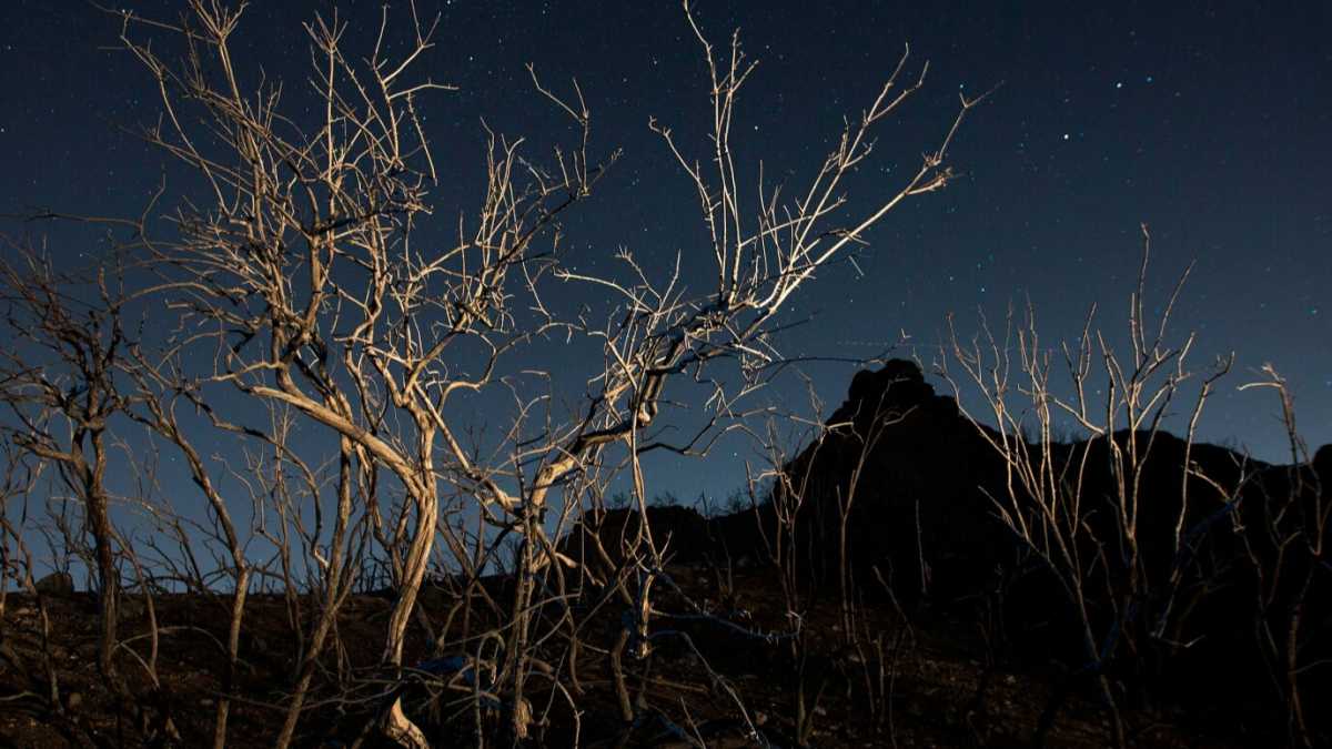 Immagine di La risposta ai catastrofisti del clima non è più apocalisse, ma più investimenti