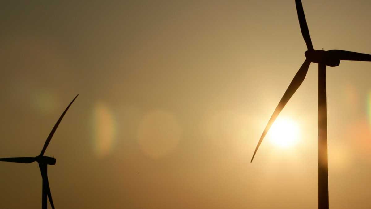 Immagine di Il lato oscuro dell'energia verde