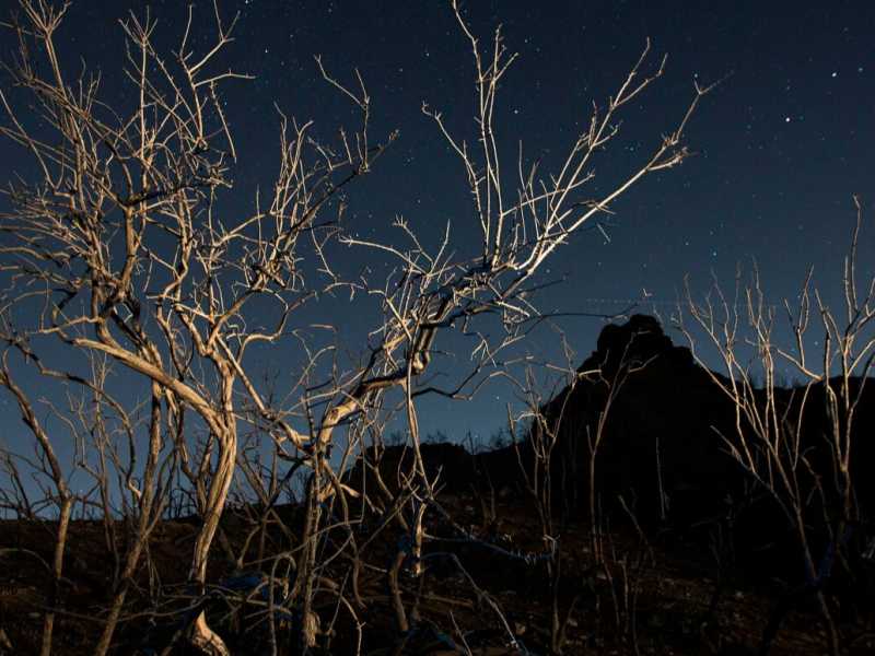 Il chaparral bruciato sulle montagne di Santa Monica, vicino a Malibu, in California, all'indomani dell'incendio del 14 novembre 2018 (LaPresse)