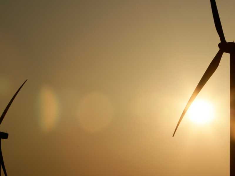Il lato oscuro dell'energia verde