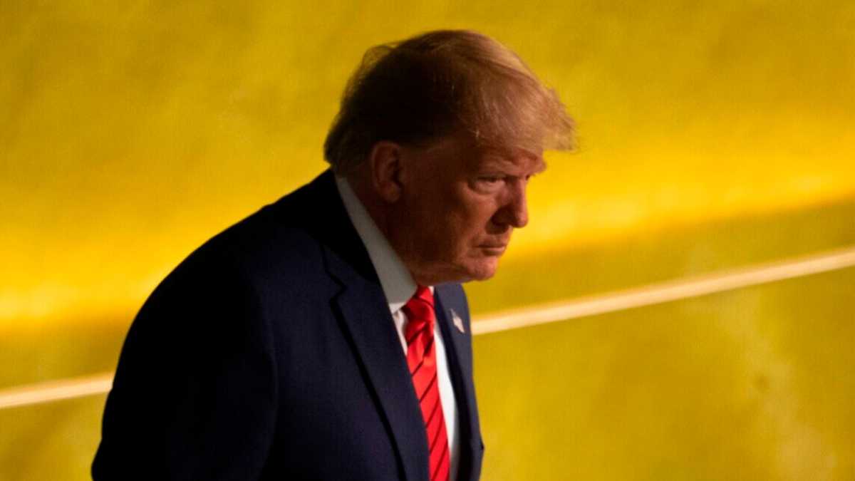 Immagine di Arrestare il flusso trumpiano