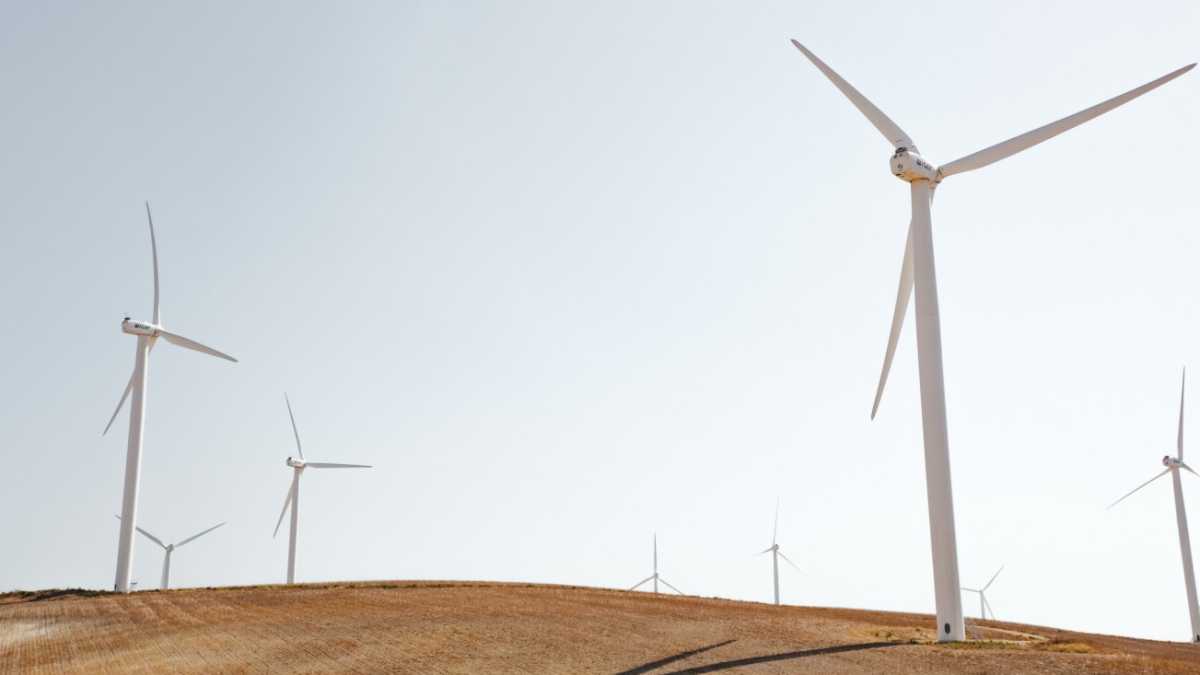 Immagine di Si può coniugare ambiente e sviluppo senza fare debiti. Parla Giovannini