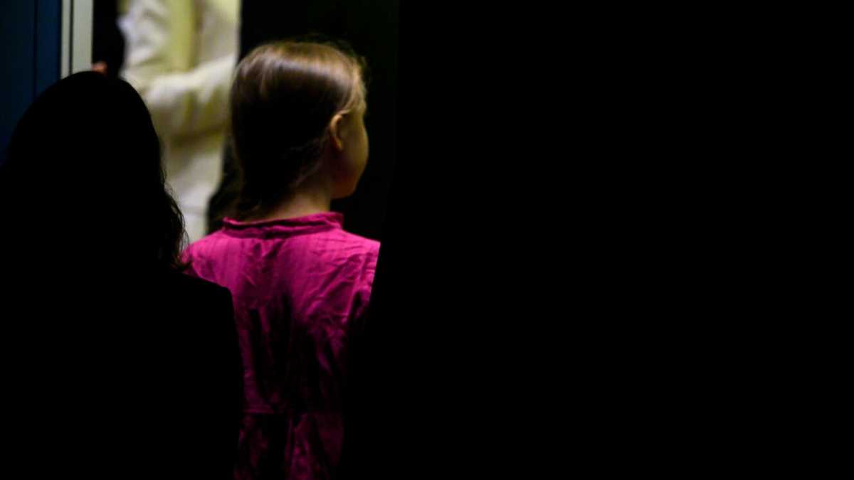 Immagine di Nel nome del padre verde. I segreti del brand Greta