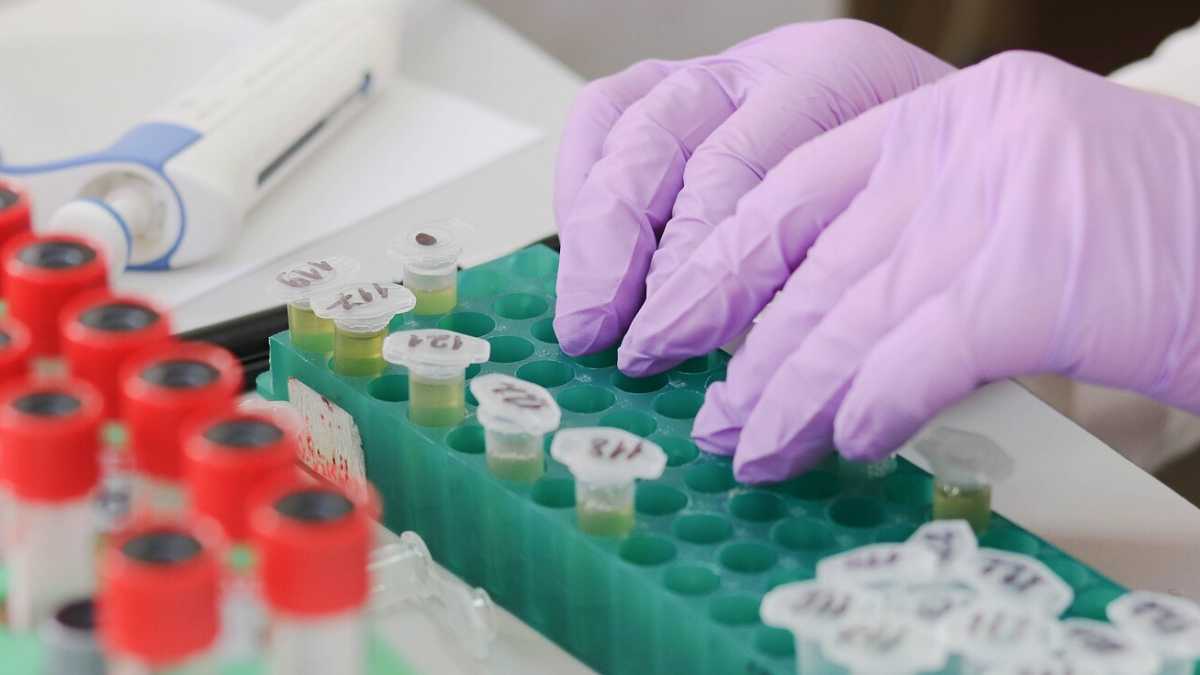 Immagine di Il biotech è donna