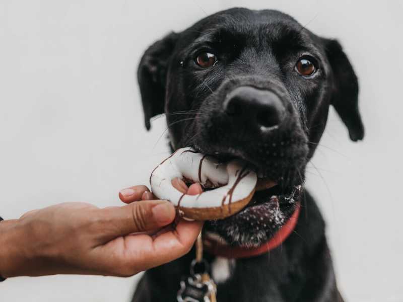 (foto Unsplash)