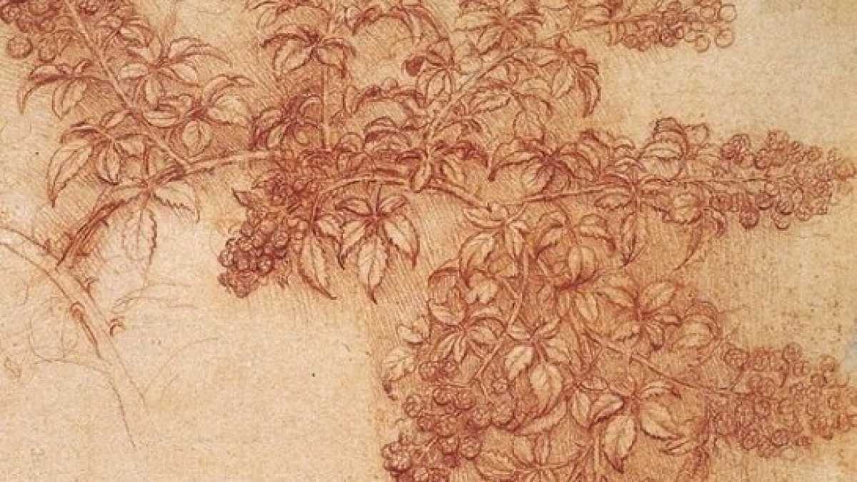Immagine di Verde Leonardo