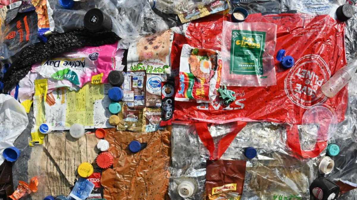 Immagine di Primo ecologista
