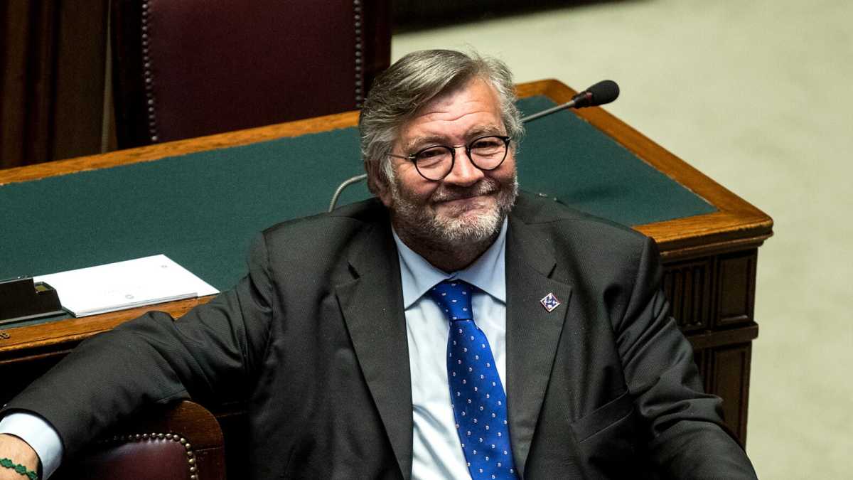 Immagine di Volpi del Parlamento