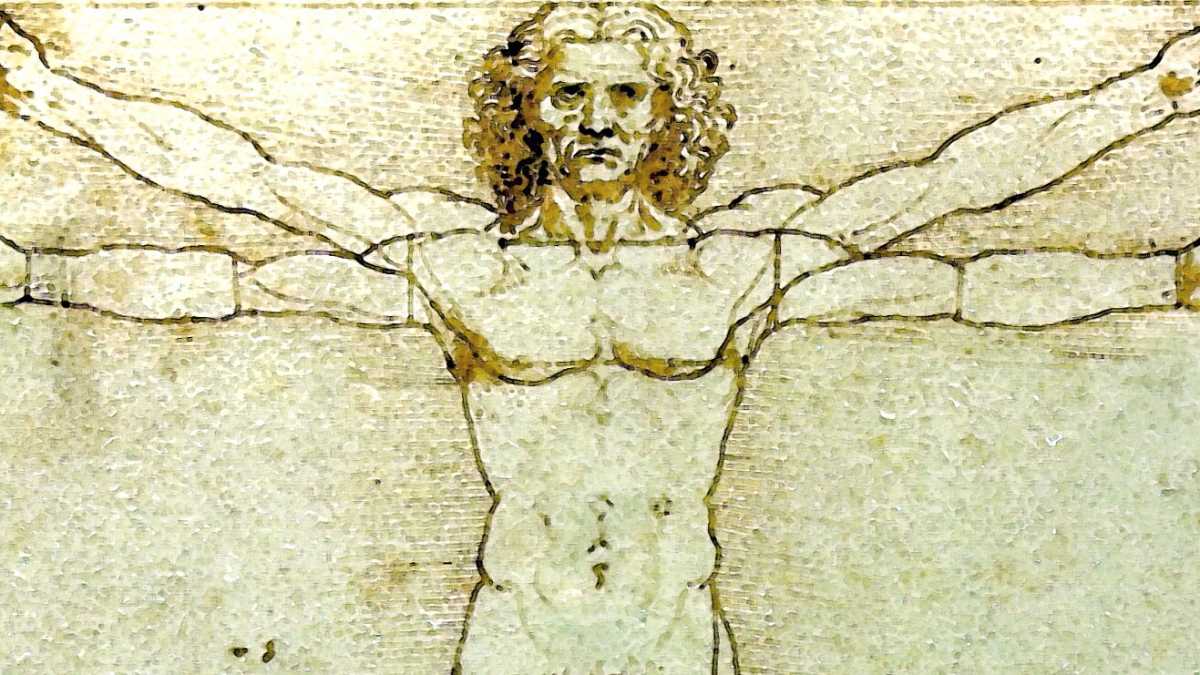 Immagine di Il taglio del Vitruviano