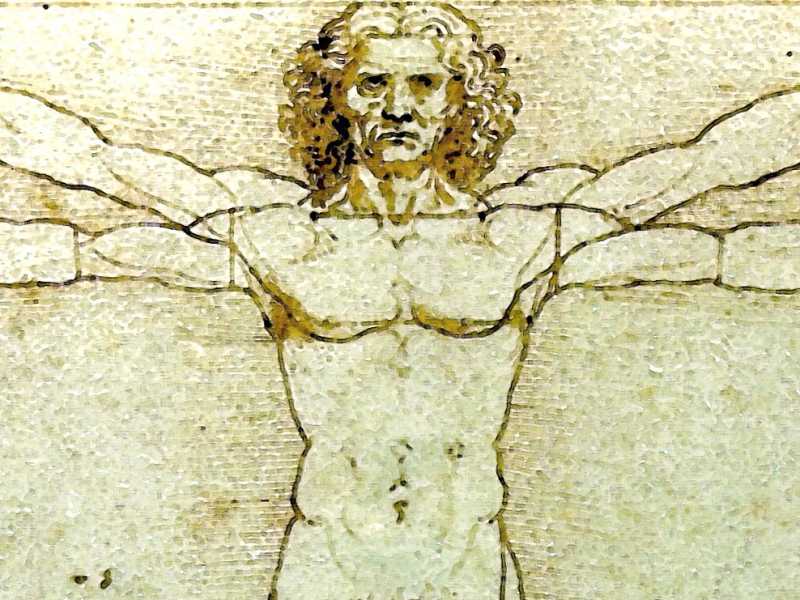 L'Uomo Vitruviano, Leonardo da Vinci, 1490