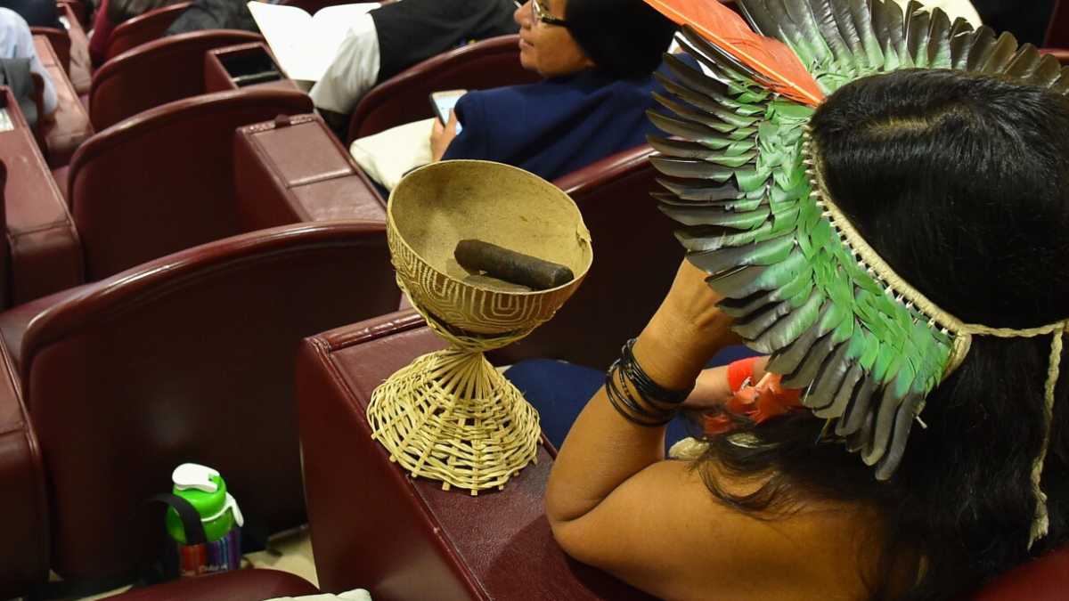 Immagine di Il Sinodo invoca la penitenza globale: “La chiesa confessi i peccati ecologici”
