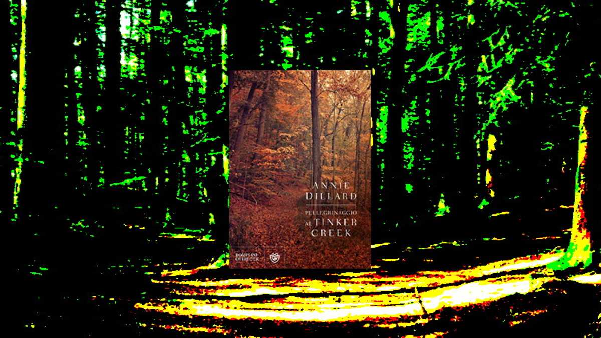 Immagine di Pellegrinaggio al Tinker Creek