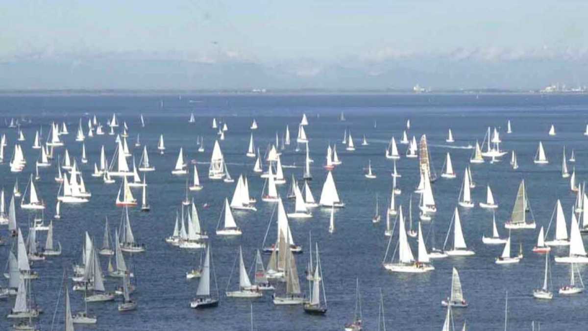Immagine di Il mare di Trieste coperto di vele: non si può non amare la Barcolana