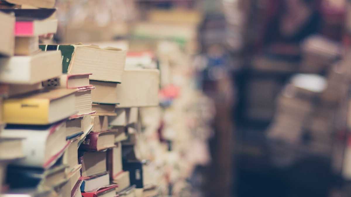 Immagine di C'è un grosso problema nella classifica dei saggi più venduti in Italia
