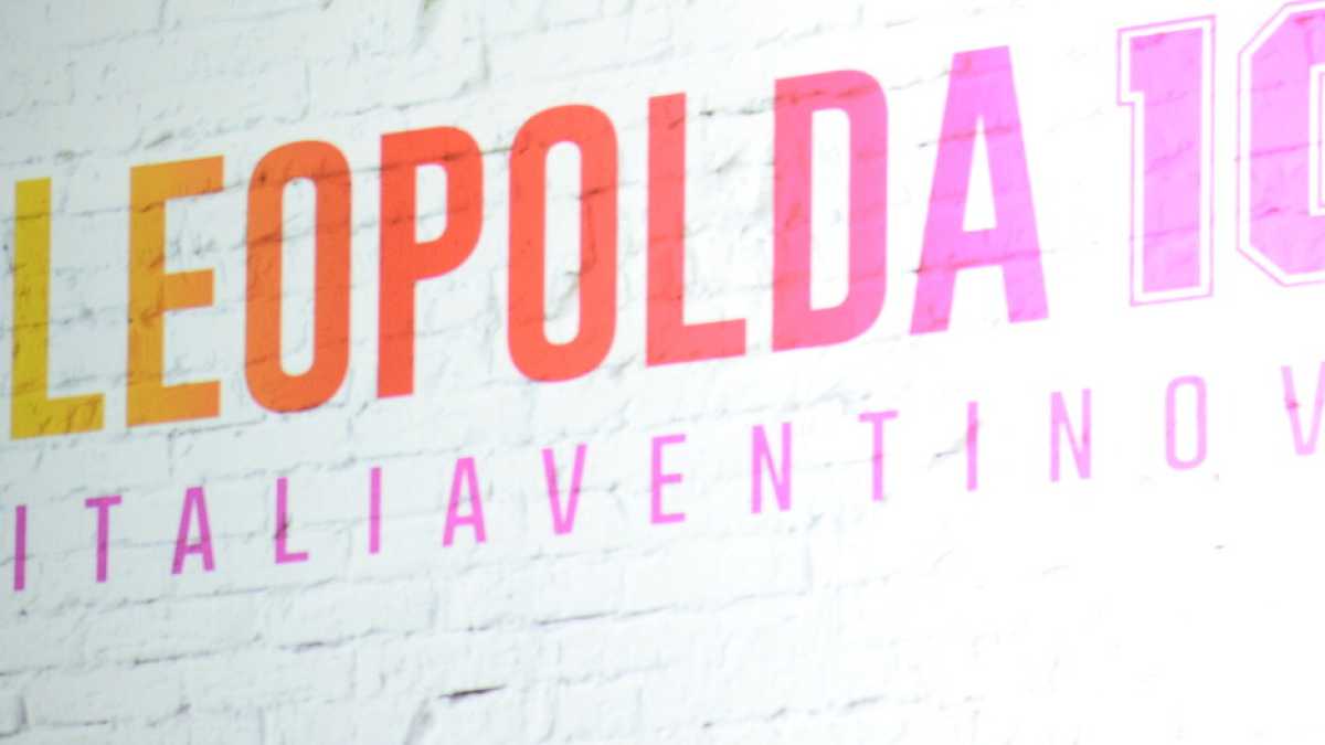 Immagine di Portare fegato e cervello alla Leopolda