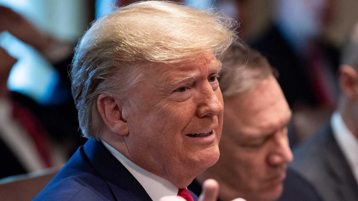 Immagine di La lingua di Donald Trump