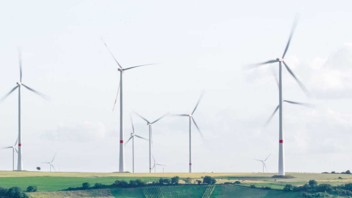 Immagine di Il cortocircuito delle tasse ambientali