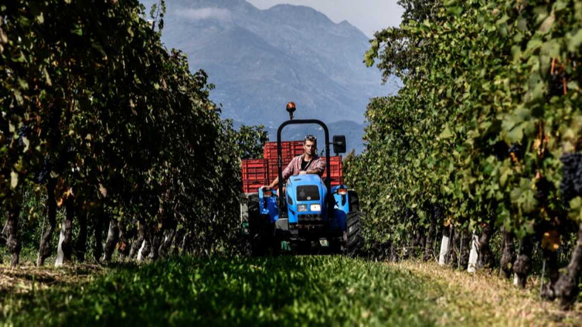 Immagine di La rivoluzione agricola