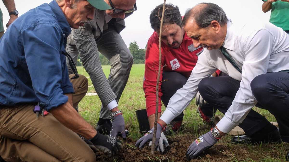 Immagine di Giuseppe Barbera non poteva scegliere momento peggiore per la pensione