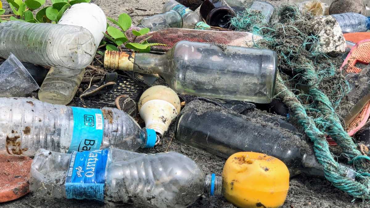 Immagine di Toxic tax