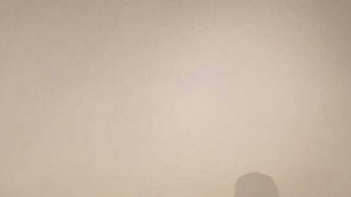 Immagine di Il Braghettone all’Unesco e il ridicolo della cultura