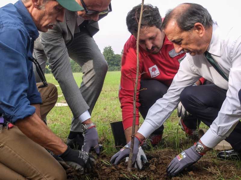 Posa di 200 alberi donati da Gucci al Parco Nord di Milano (foto LaPresse)