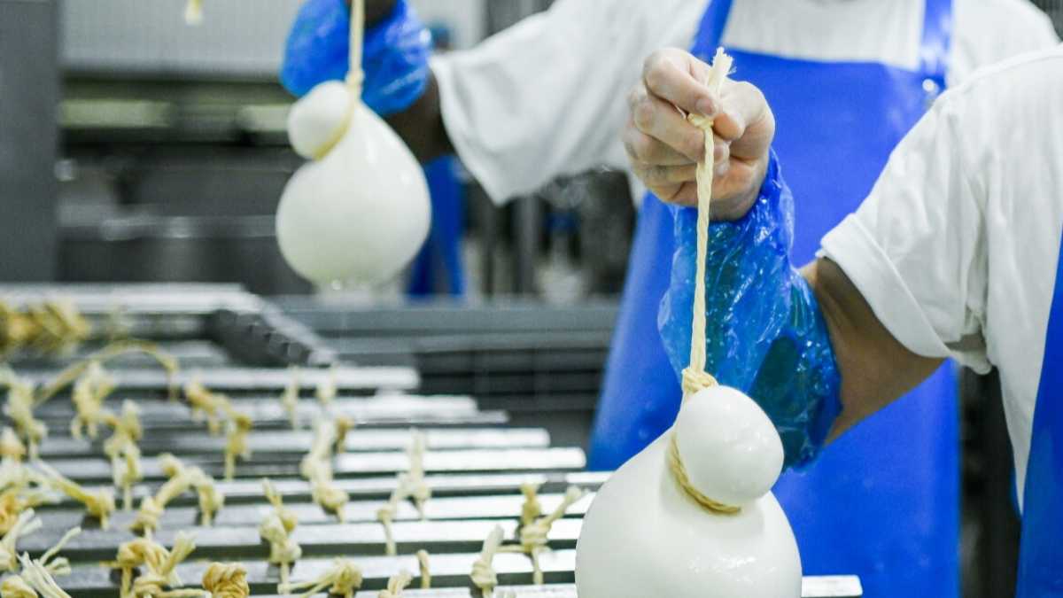 Immagine di Ora che il latte diventa bene pubblico lo stato italiano produrrà caciotte